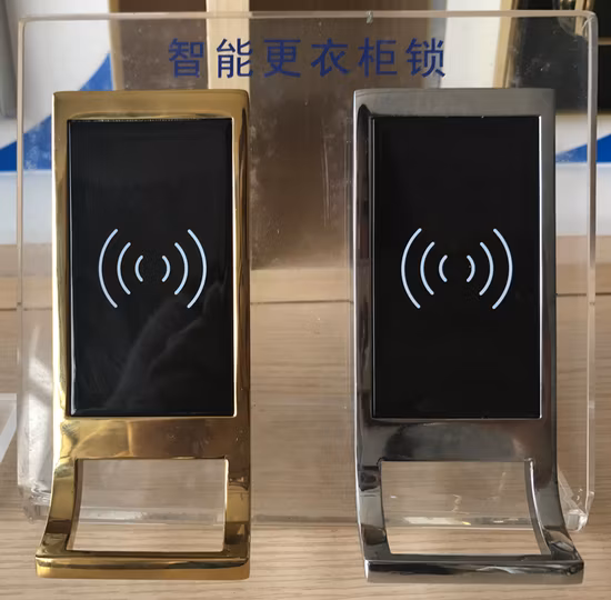 KERONG nouveau Style RFID carte électronique encastrée serrure de casier intelligente pour armoire de Sauna